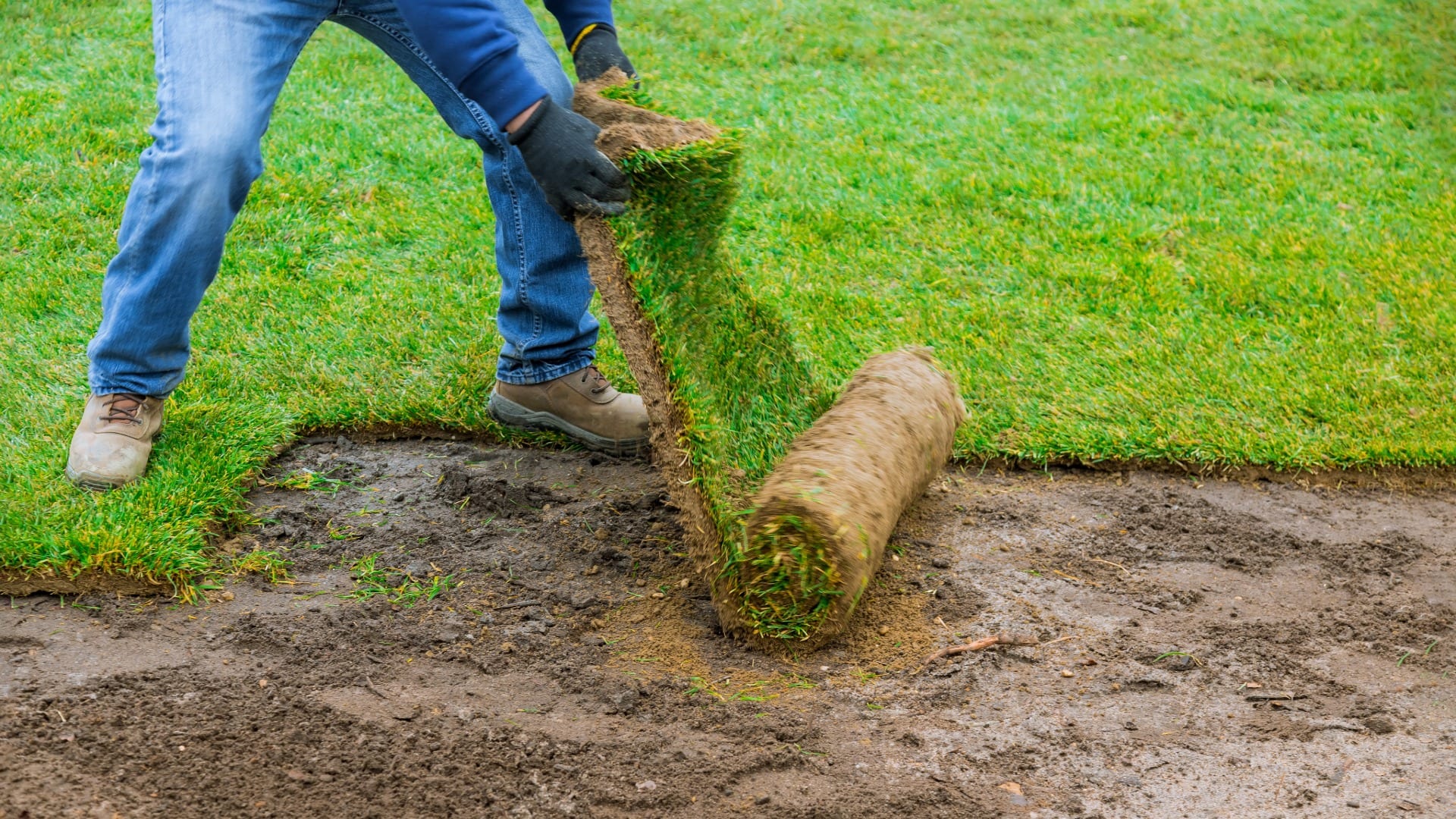 sod installation london ontario
